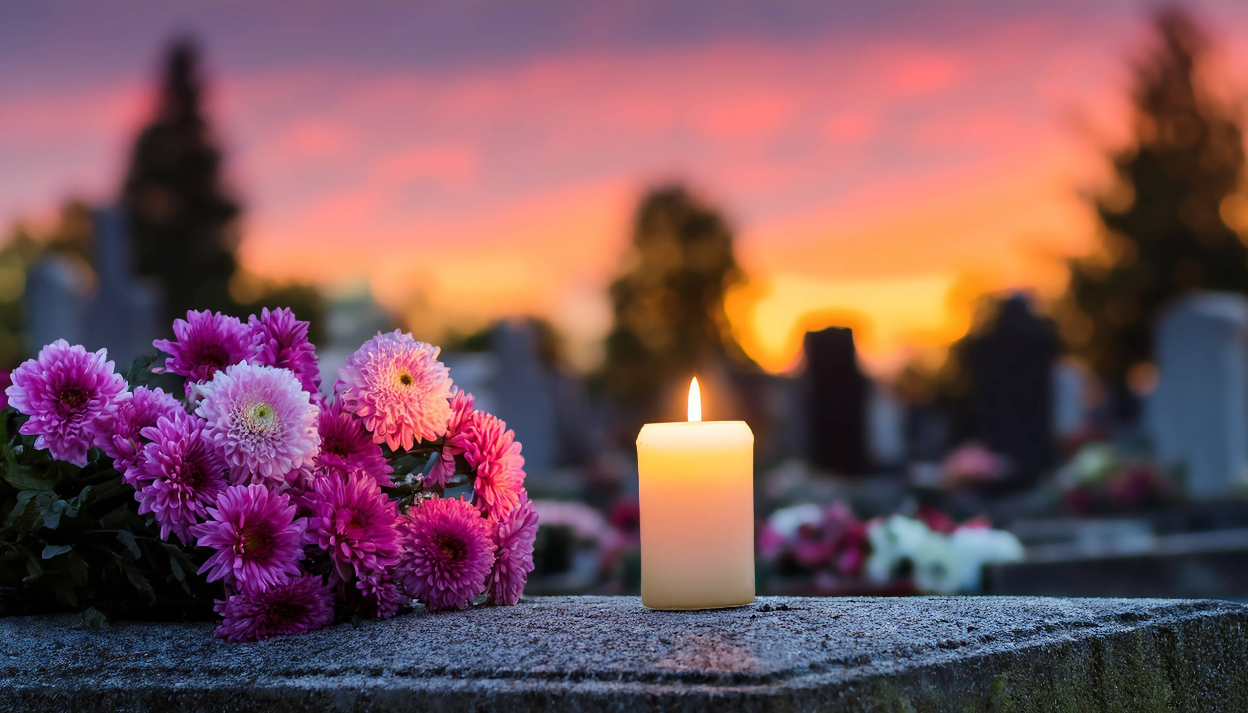 AdobeStock_1005708414