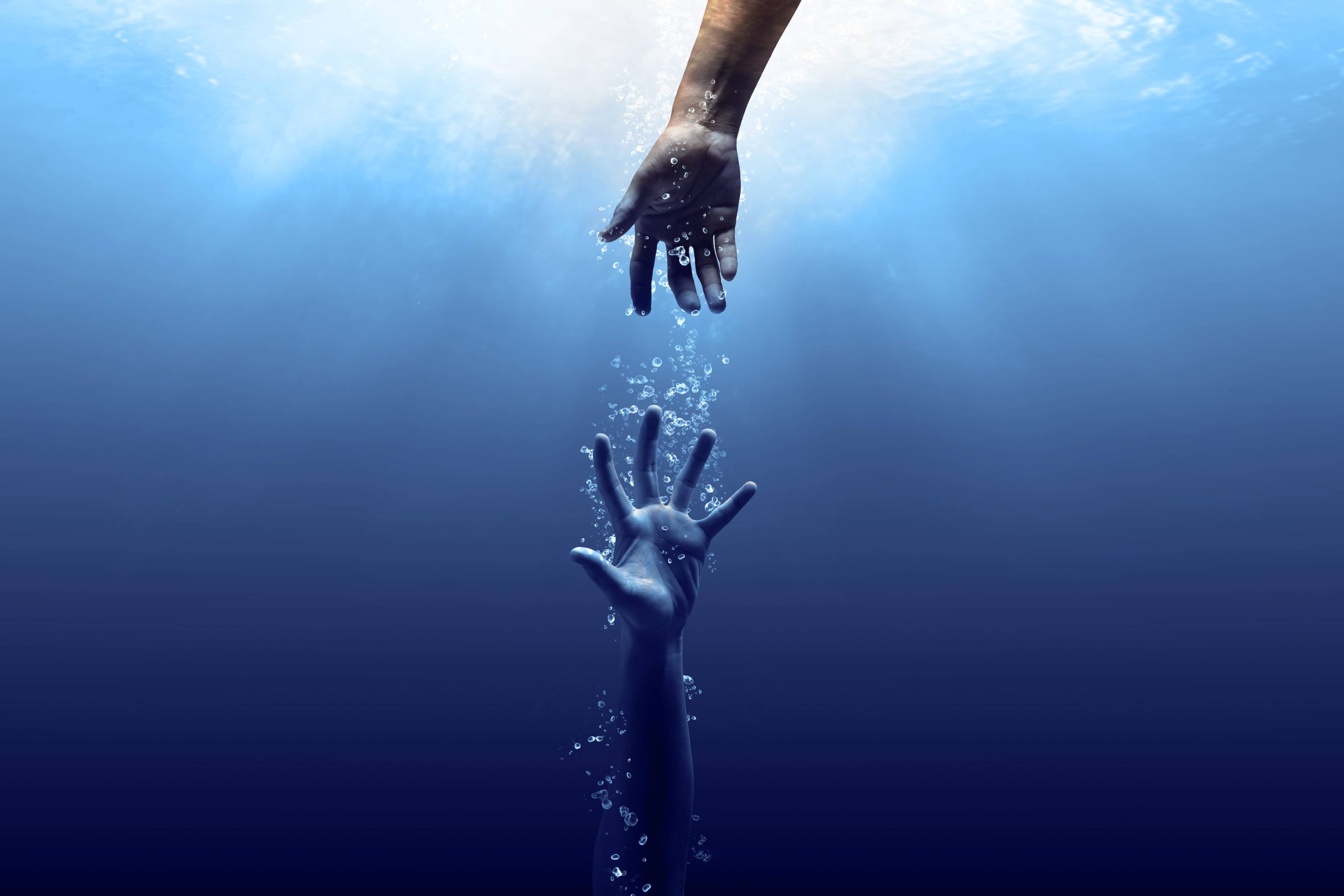 AdobeStock_295178031